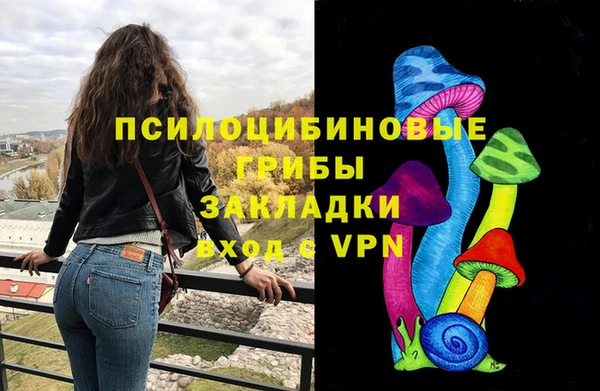 альфа пвп Горнозаводск
