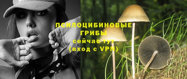 альфа пвп Горнозаводск